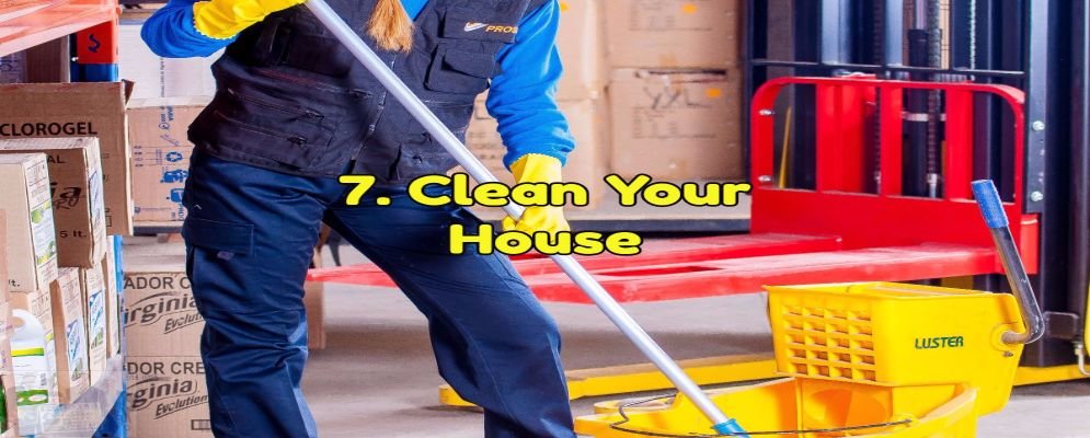 clean your house
